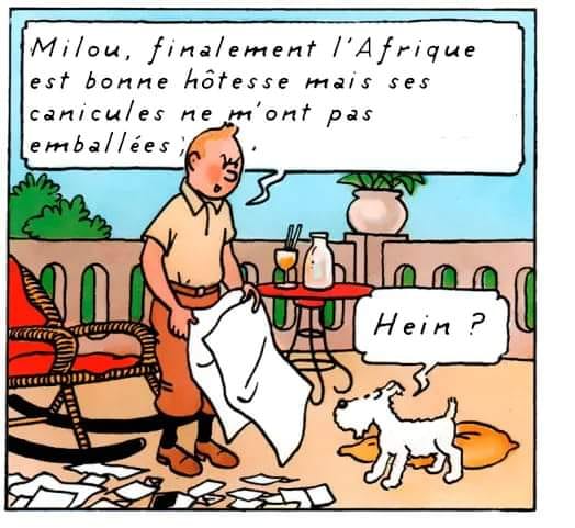 Dessin du jour . Pas obligatoirement culinaire, la cuisinière s'intéresse aussi à l'actualité . - Page 3 32656210