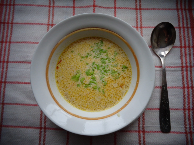 Пряный тыквенный суп Dsc00113