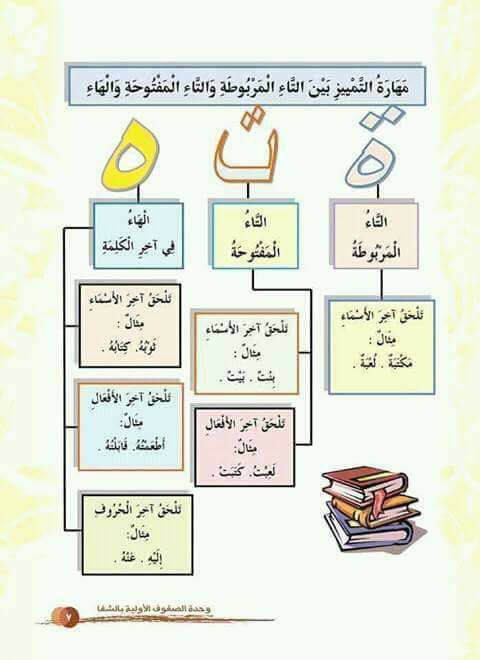 شرح التاء المفتوحه والمربوطة والهاء مس هناء محمد 1214