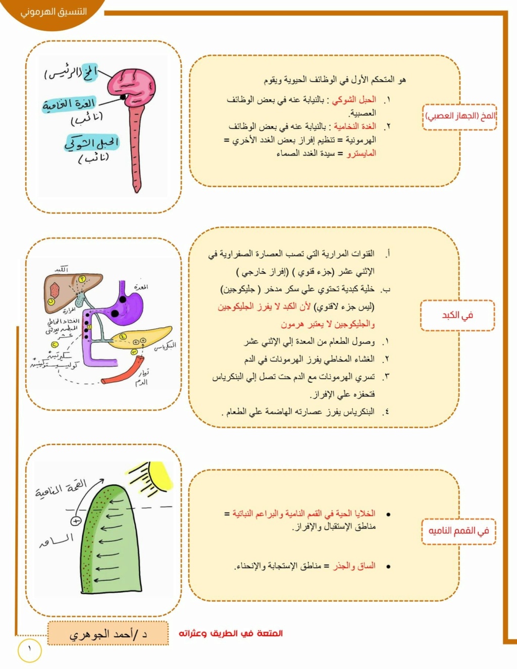 ملاحظات مهمة علي الهرمونات أحياء ثالثة ثانوي 1799