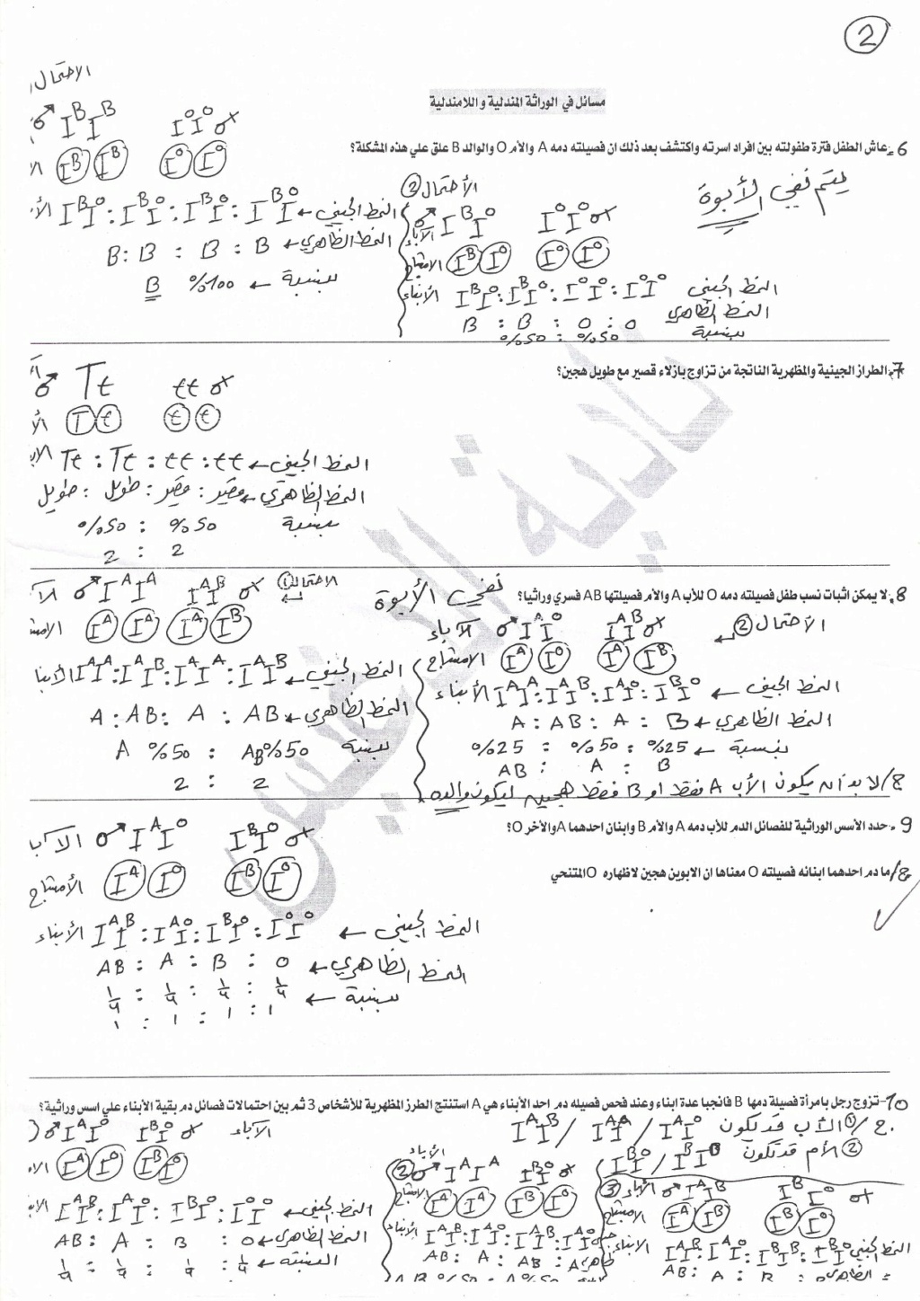 مسائل وراثة بالاجابة النموذجية مس نادية الدغيس 2483