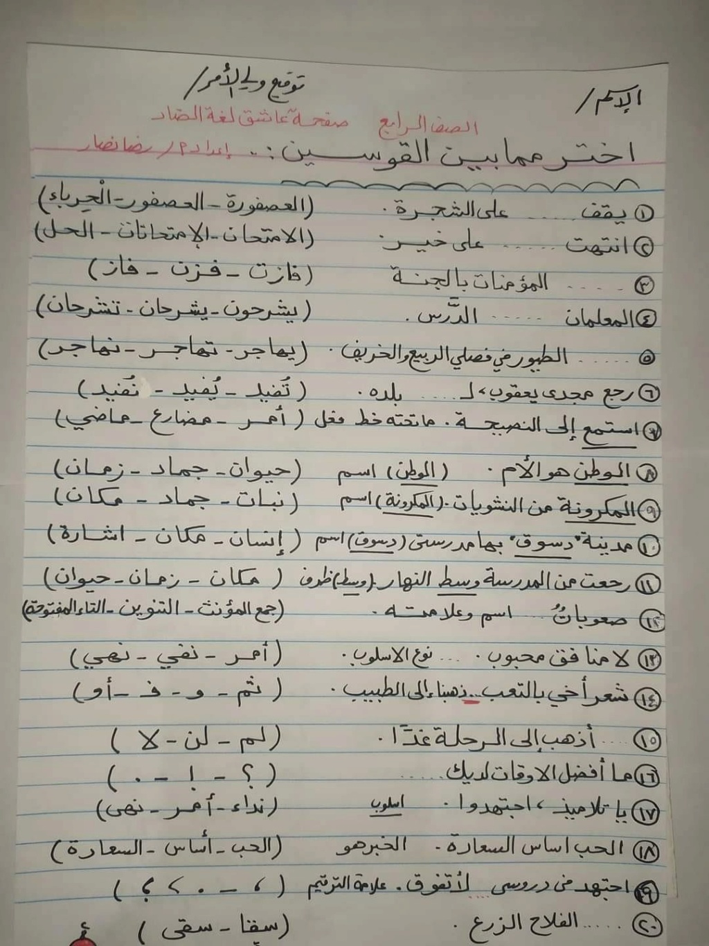 تدريبات لغة عربية للصف الرابع الابتدائي ترم اول 2023 حلوة جدا 273