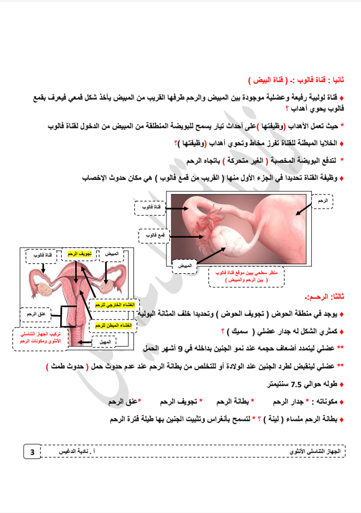  الجهاز التناسلي الأنثوي أحياء ثانوي أ. نادية الدغيس 3397