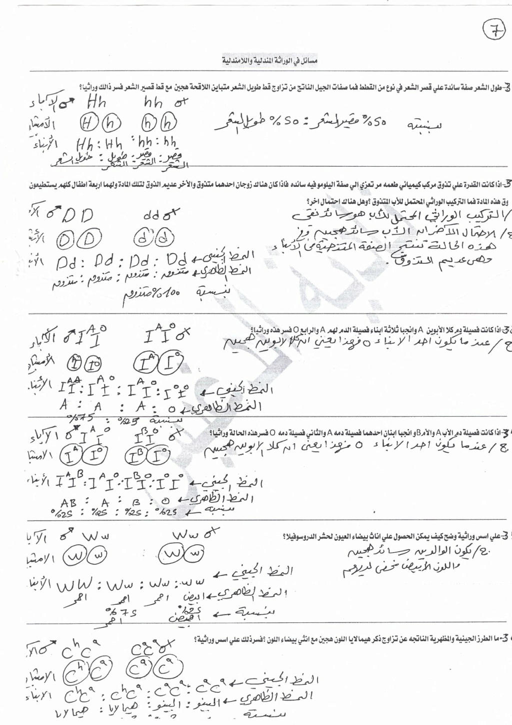 مسائل وراثة محلولة 7287