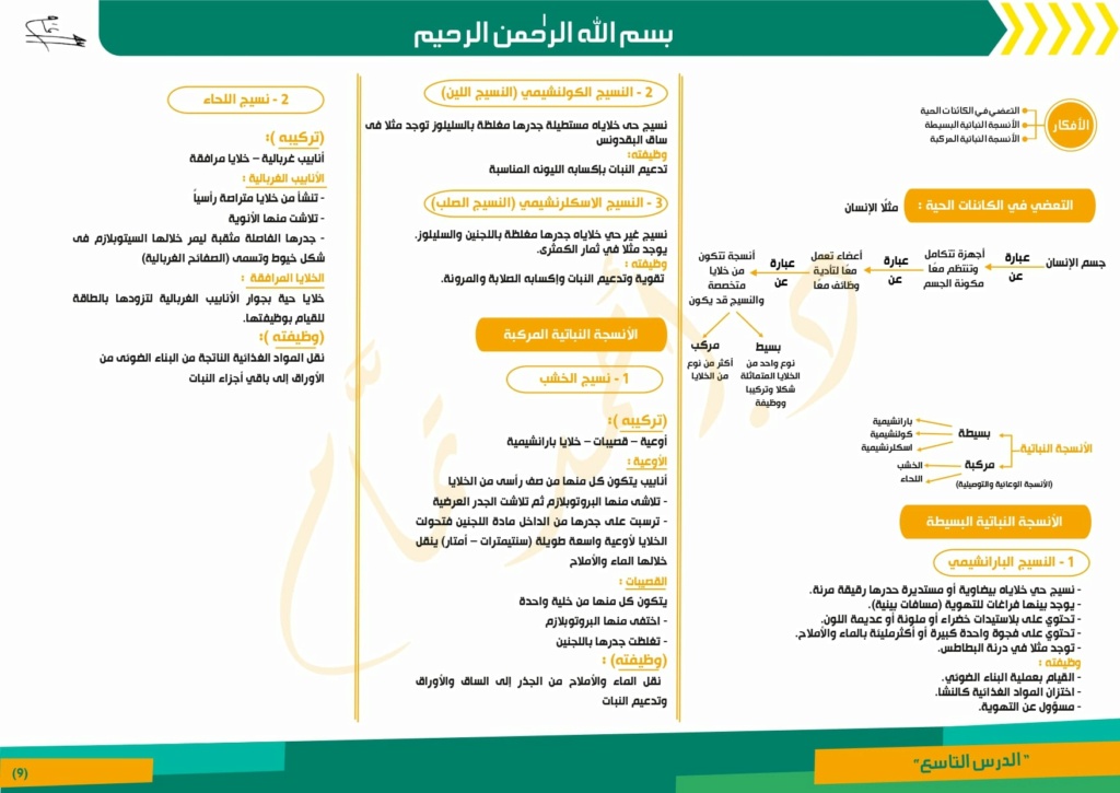 تلخيص منهج الاحياء كله لأولى ثانوي الترم الأول في عشر ورقات بس 980