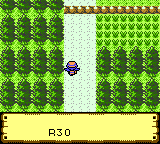 [Vietnamese Crystal] Perdue en Traduction Pokem332