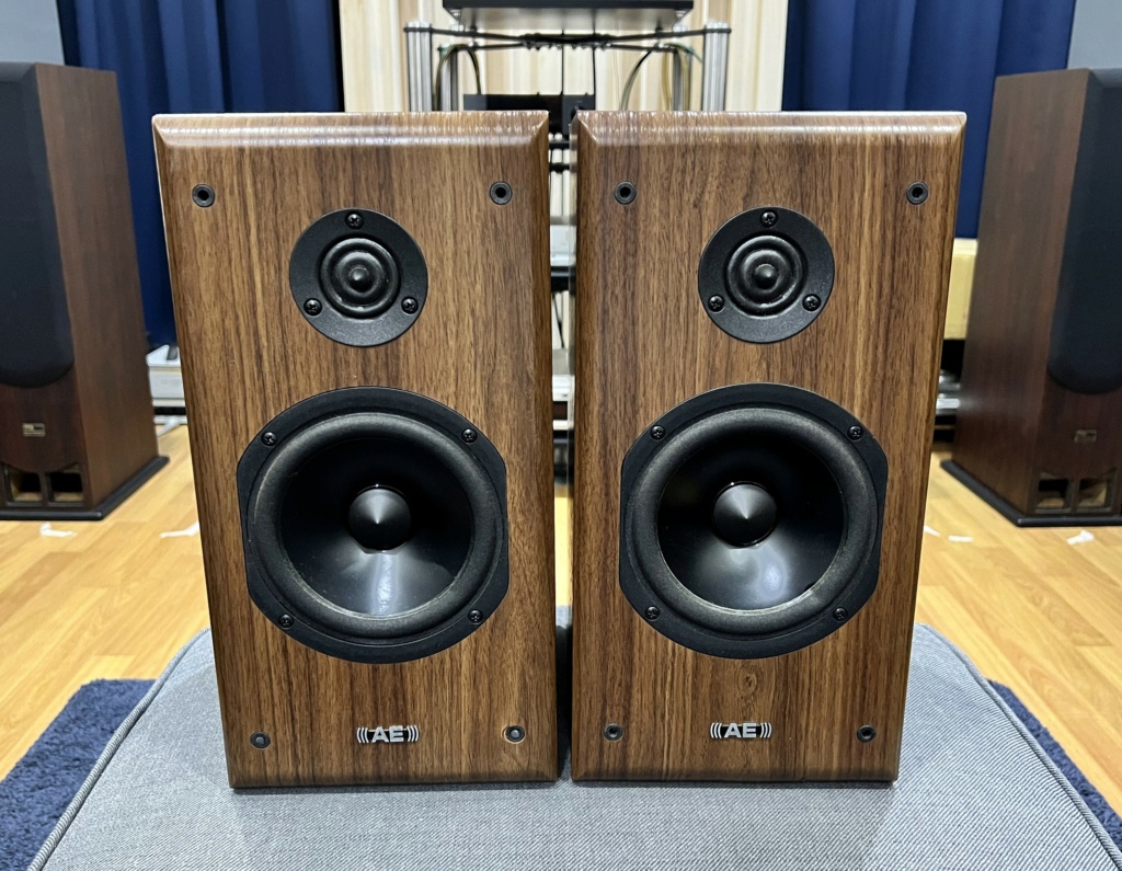 AE Aegis Neo 1 Bookshelf Speaker (SOLD) Img_0333