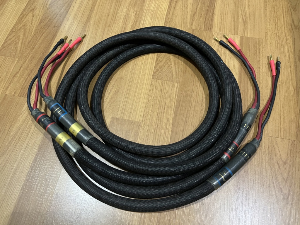 Purist Audio Design (PAD) Elementa Rev. B Speaker cable (sold) Img_2425