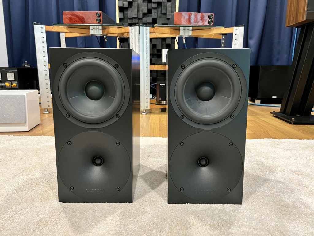 Buchardt Audio S400 Bookshelf Speaker Img_5326