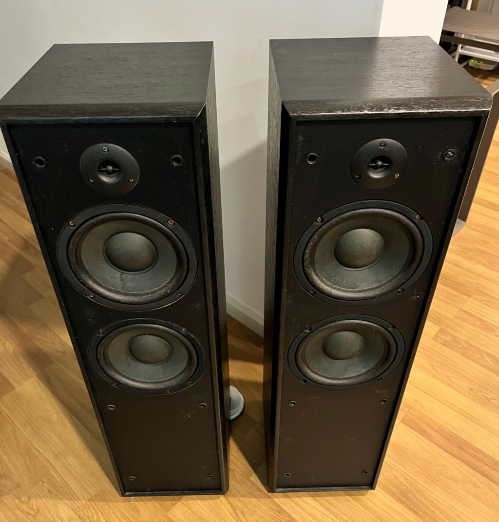 Robertson Audio M-Phorce MP-22 with Robertson CR-1 Center Speaker Img_5931