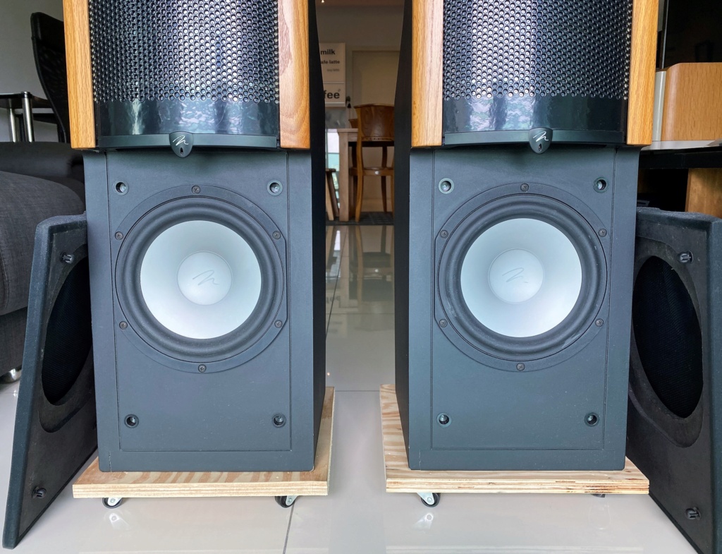 Martin Logan Aeon ESL Floorstand Speaker (Sold) Img_6519