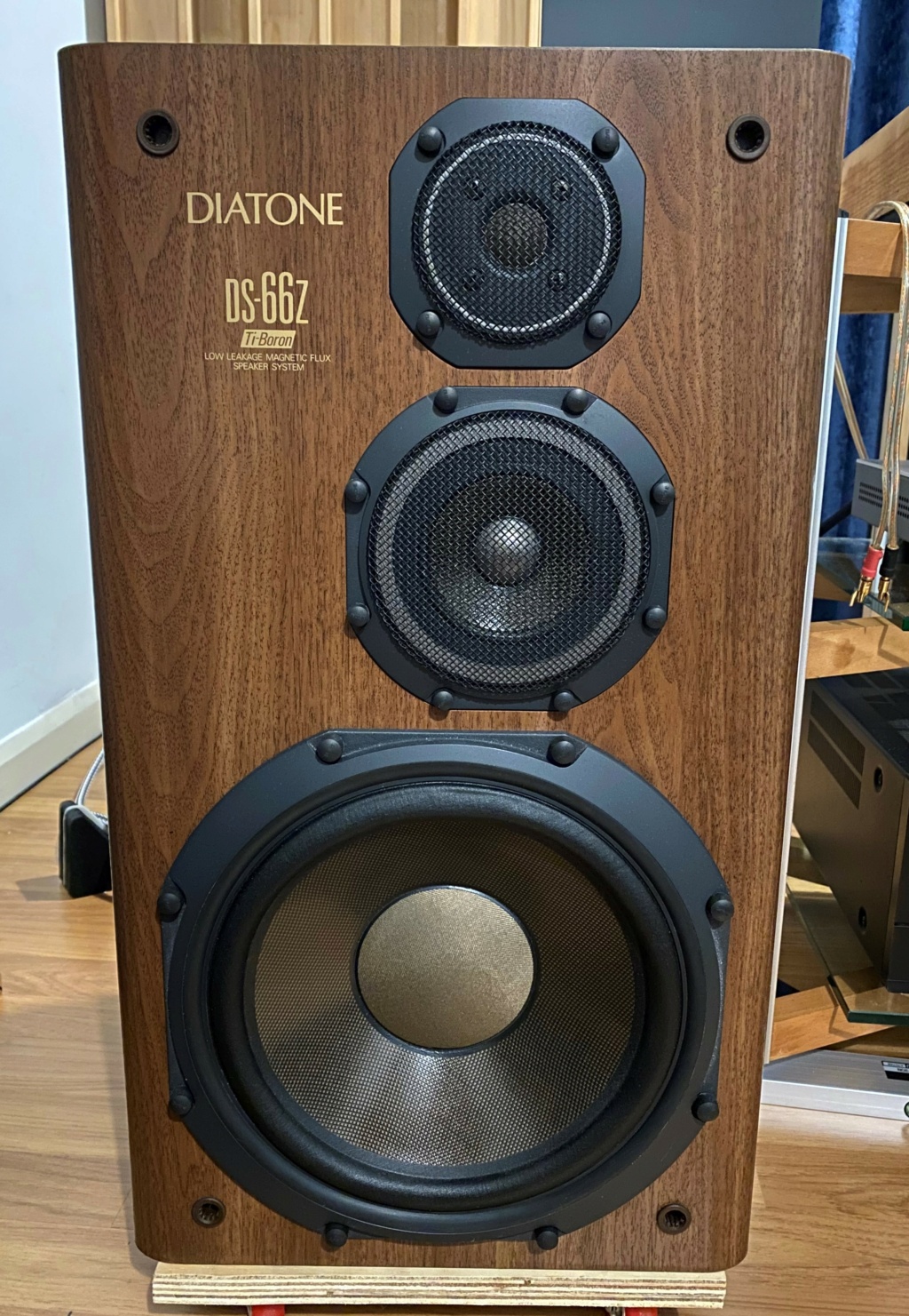 Diatone DS-66z Speaker (sold) Img_8020