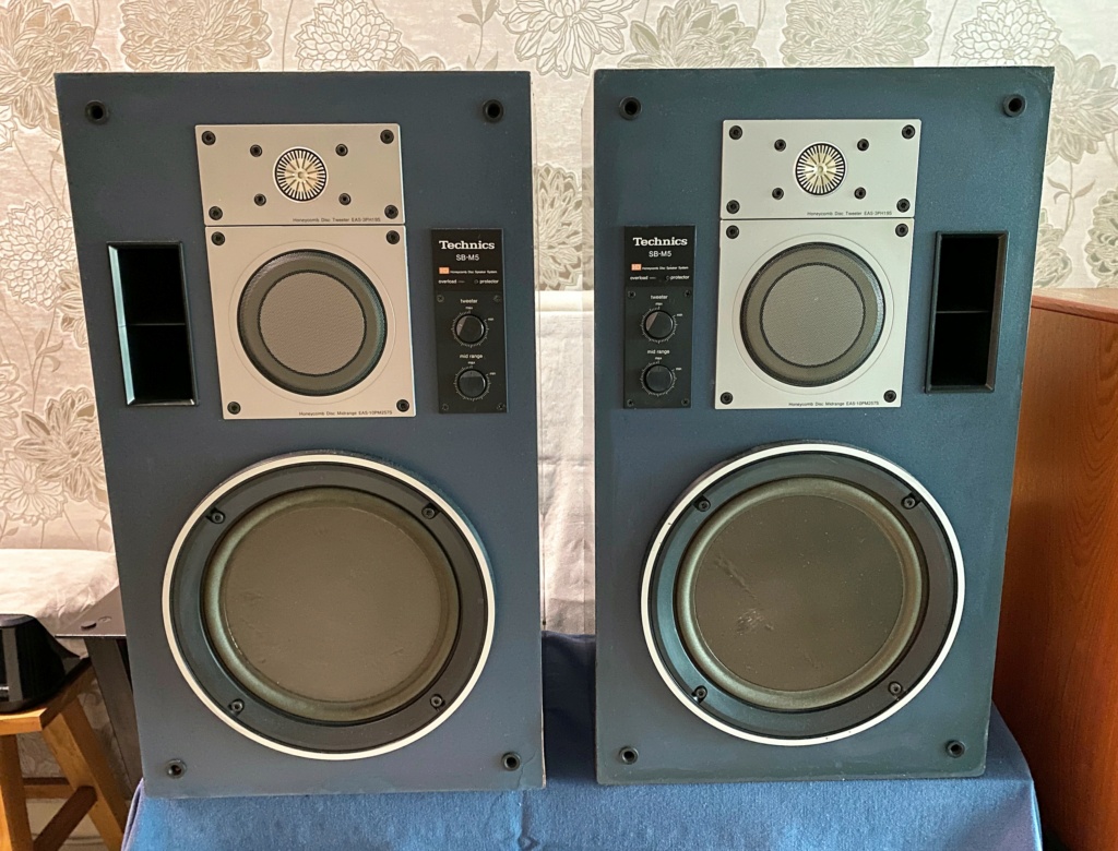 Technics SB-M5 Honeycomb Disc Speaker System (price reduced) Img_8525