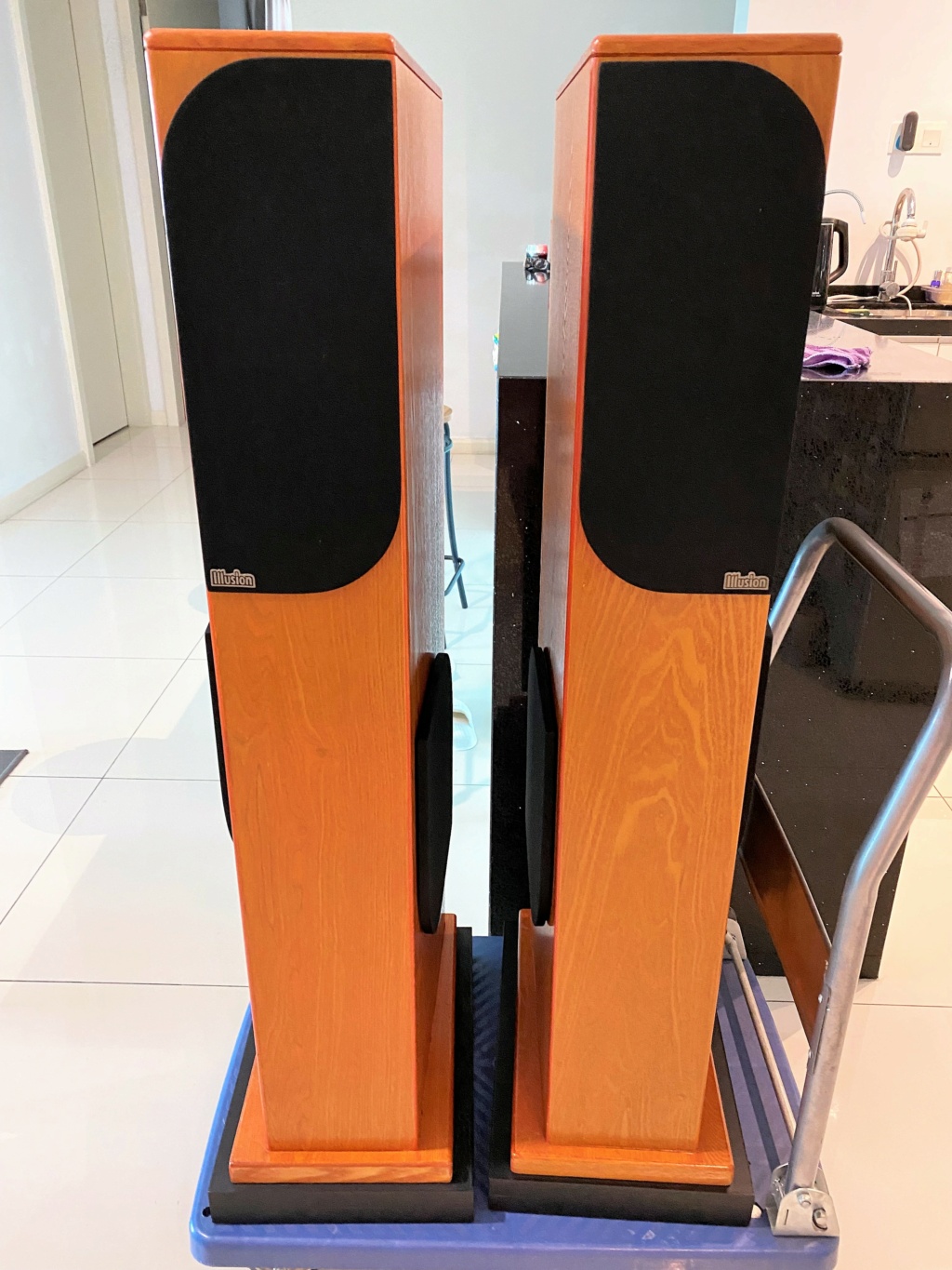 illusion 2 floorstand speaker (price reduced) Img_8538