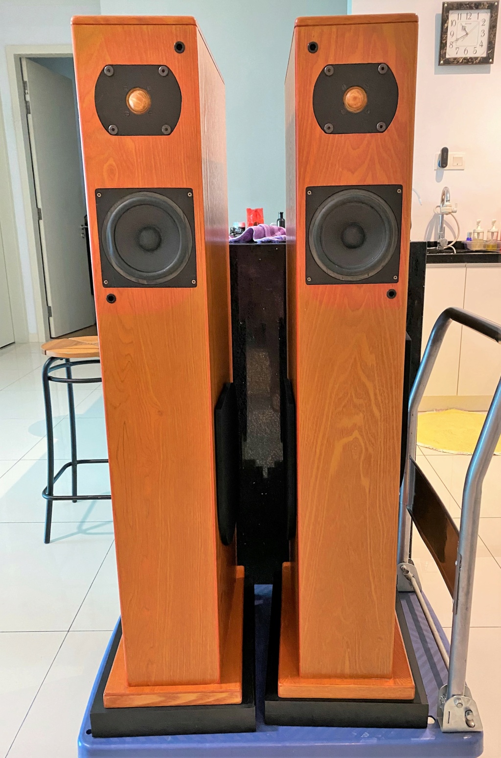 illusion 2 Floorstand speaker - SOLD Img_8543