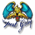 Emblème de la Goldwing  121-8105