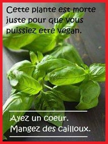 Billets d'humeur / Billets d'humour - Page 9 34739211