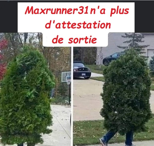 6ème jour de confinement, j'en peux plus, faut que je roule................. 90410611