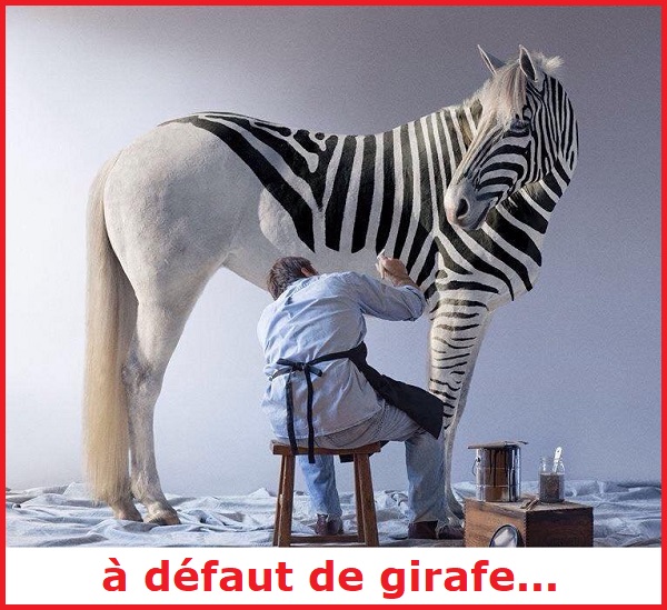 Une image marrante ou insolite par jour...en forme toujours - Page 10 A_defa10