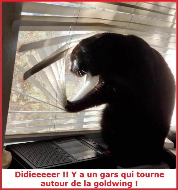 Une image marrante ou insolite par jour...en forme toujours - Page 9 Didier10