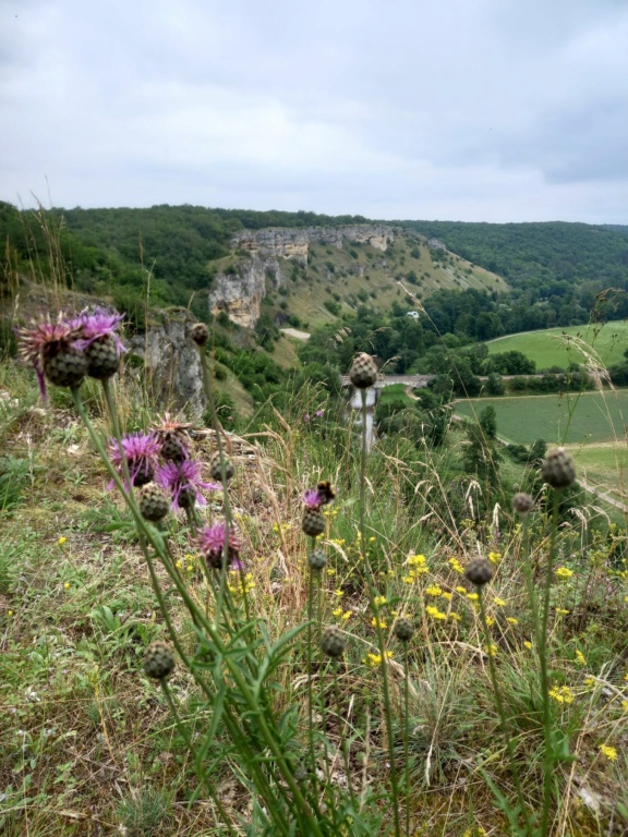 petite randonnée dans le Morvan Falais10