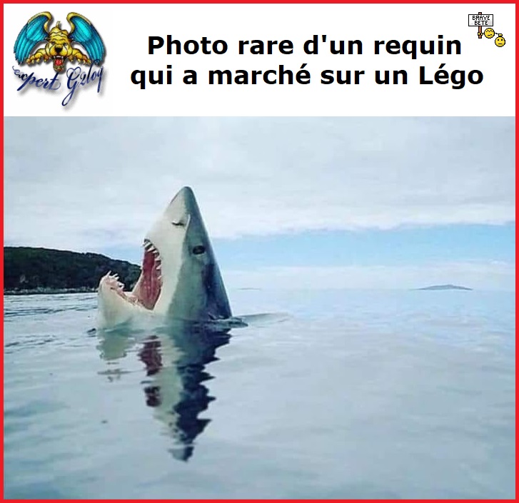 Une image marrante ou insolite par jour...en forme toujours - Page 22 Hghggh10