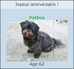 Joyeux anniversaire aujourd'hui à ... - Page 12 Hhhhgg12