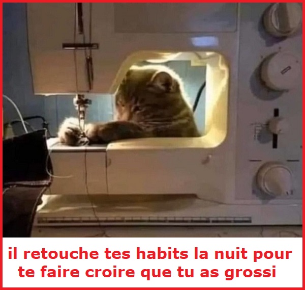 Une image marrante ou insolite par jour...en forme toujours - Page 15 Il_ret10