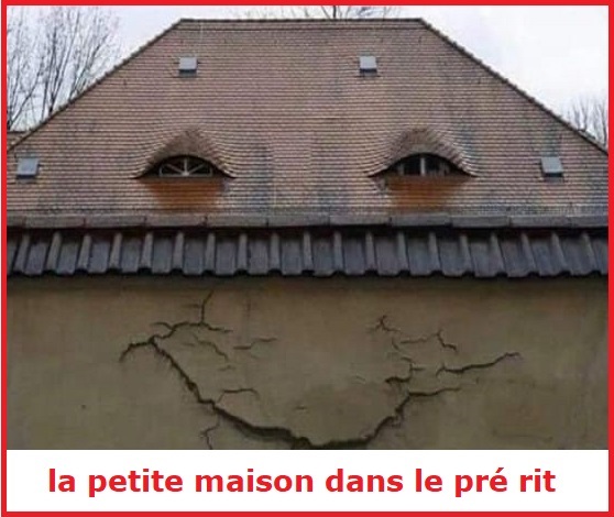 Une image marrante ou insolite par jour...en forme toujours - Page 17 La_pet10