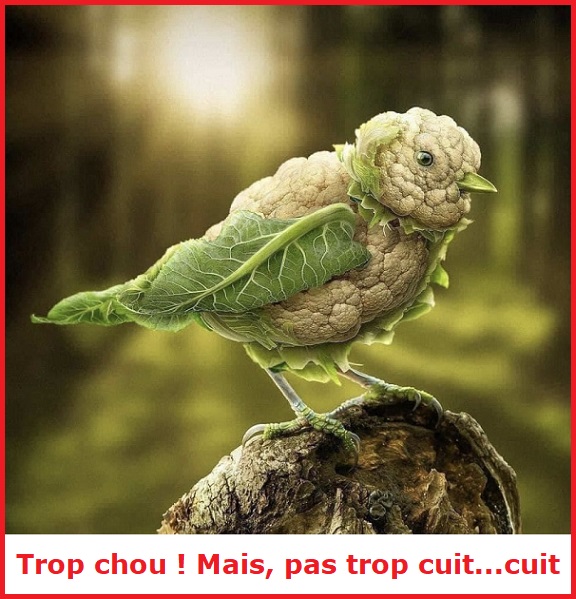 Une image marrante ou insolite par jour...en forme toujours - Page 23 Trop_c12