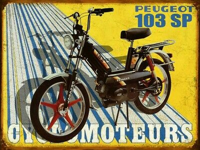 Peugeot Motocycles : la fin d'une histoire française Tzolzo12