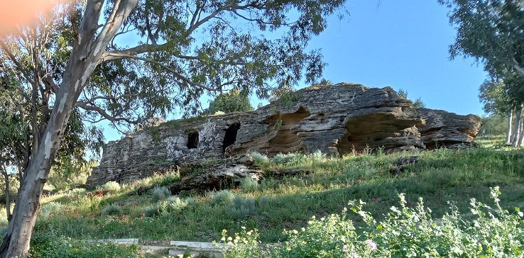 Baelo Claudia, yacimiento y museo Hipoge10