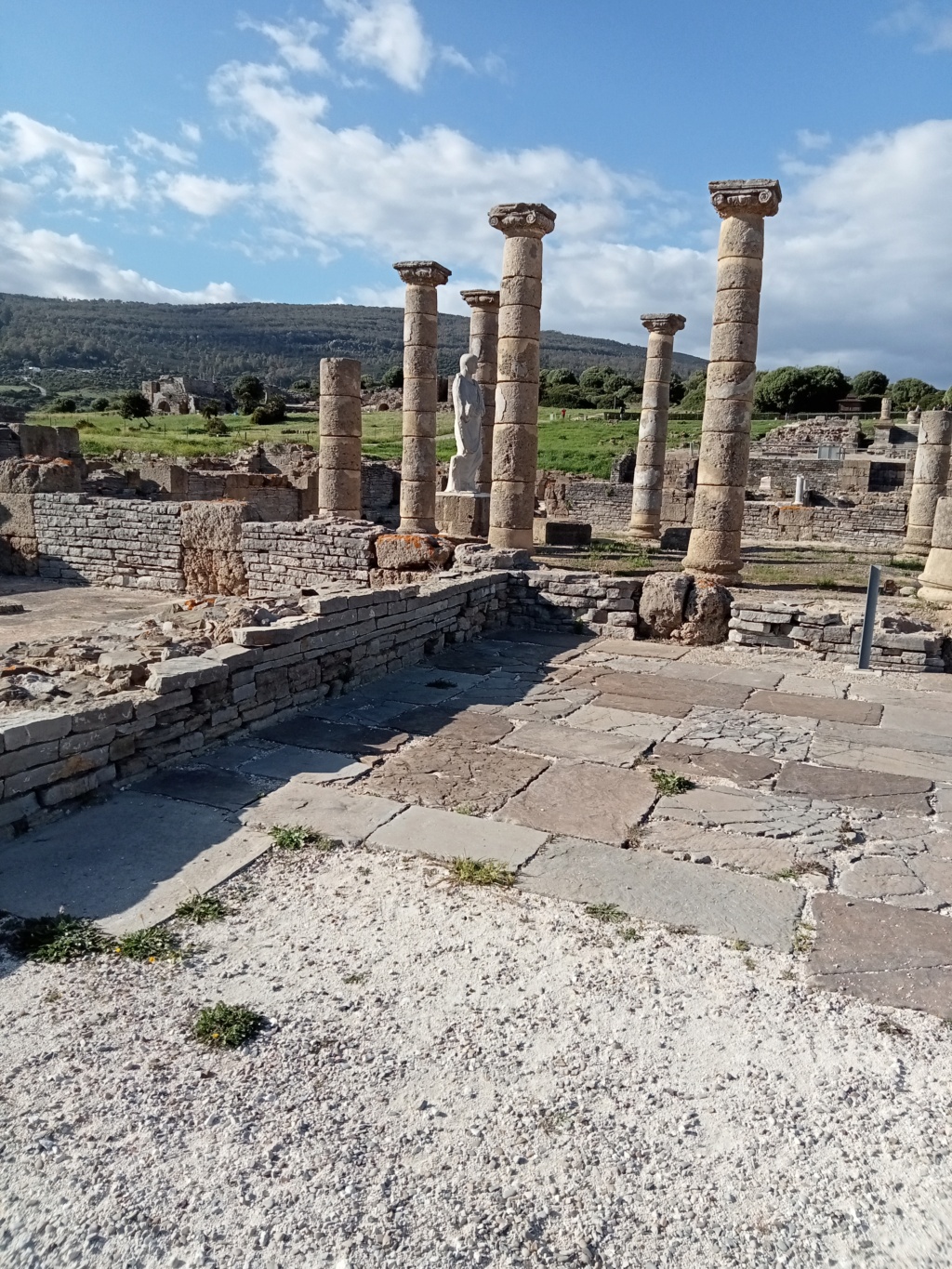 Baelo Claudia, yacimiento y museo Img20250