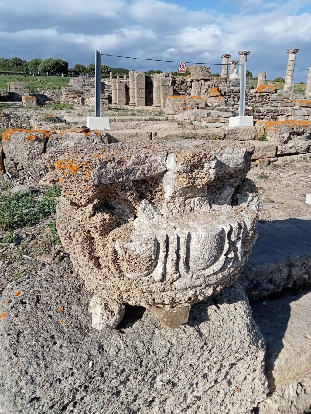 Baelo Claudia, yacimiento y museo Img20252