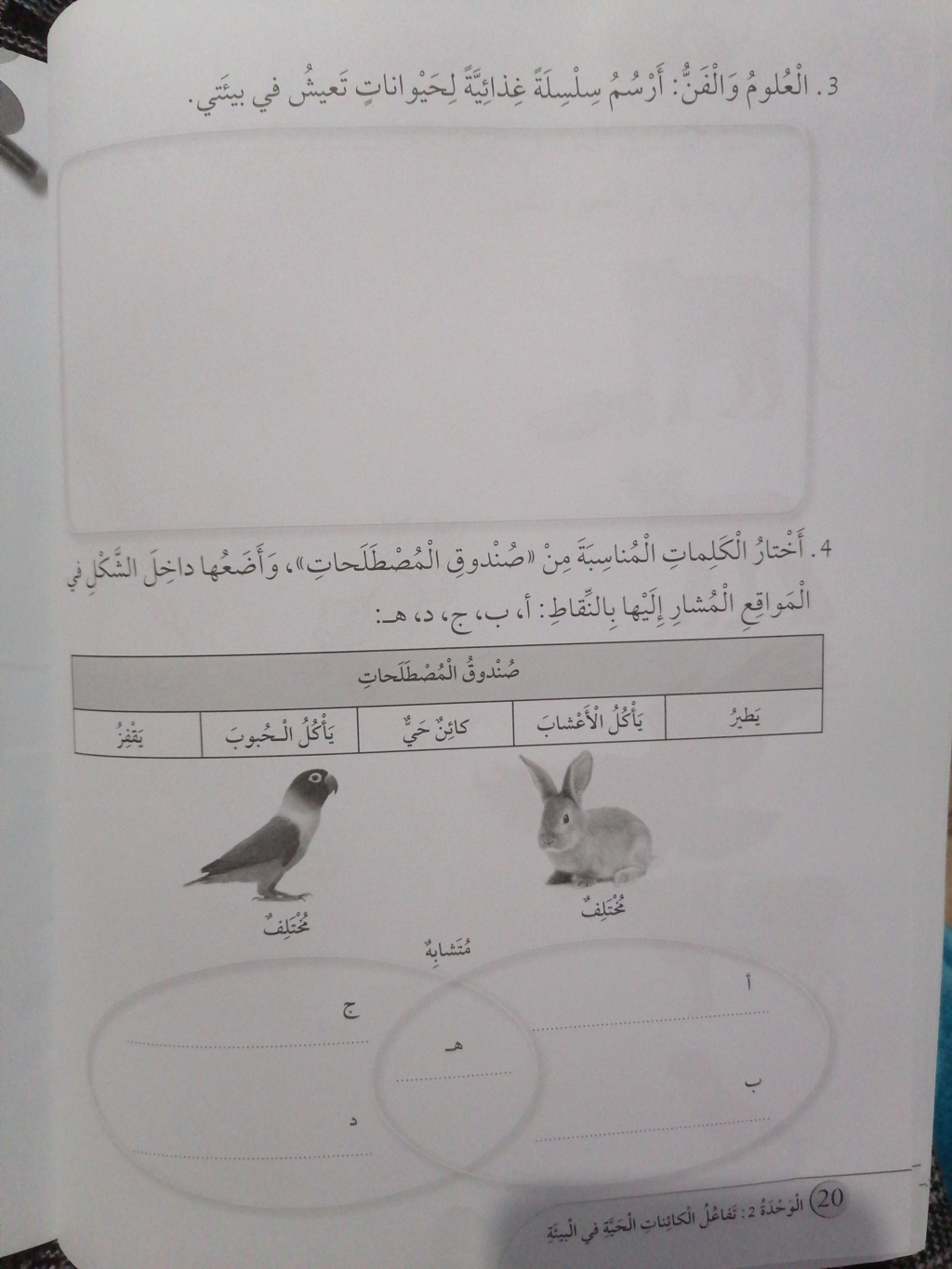 واجب بيتي  16051911