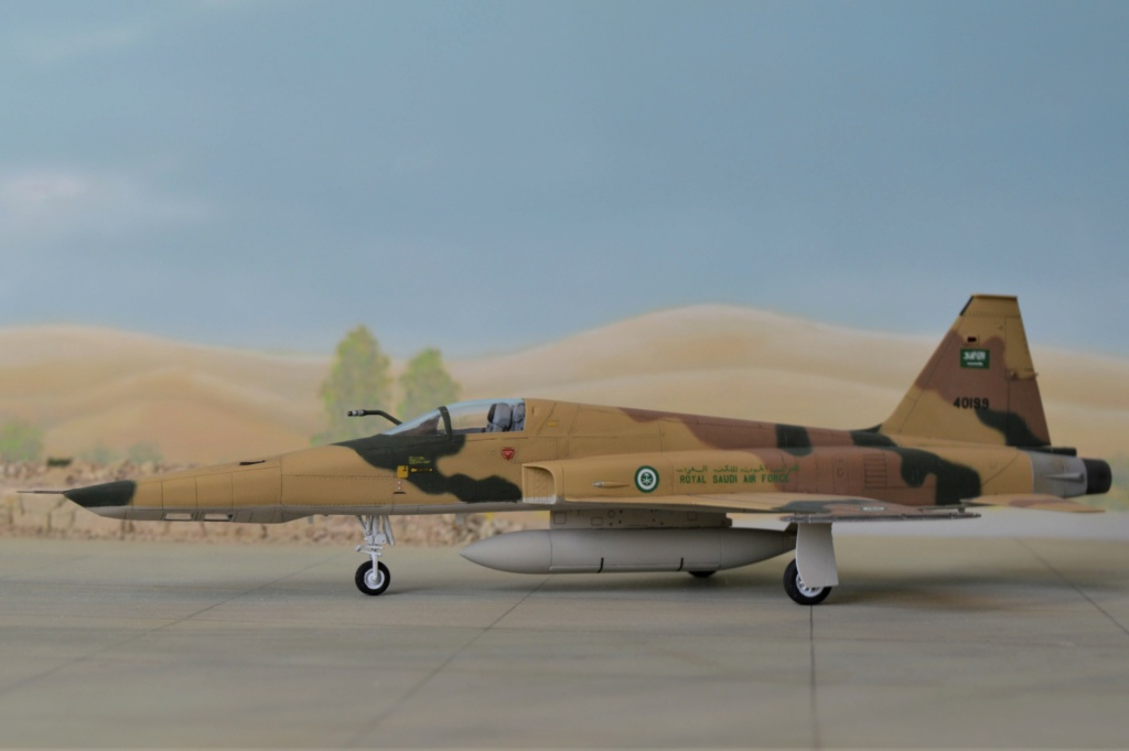 RF 5E Tigereye Saudi Arabia   Dreammodel + Airfix  1/72 - Page 2 Dsc_0167