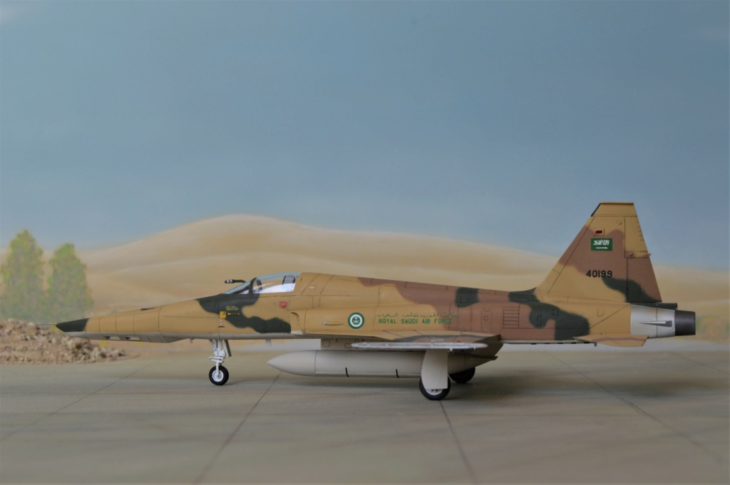 RF 5E Tigereye Saudi Arabia   Dreammodel + Airfix  1/72 - Page 2 Dsc_0168