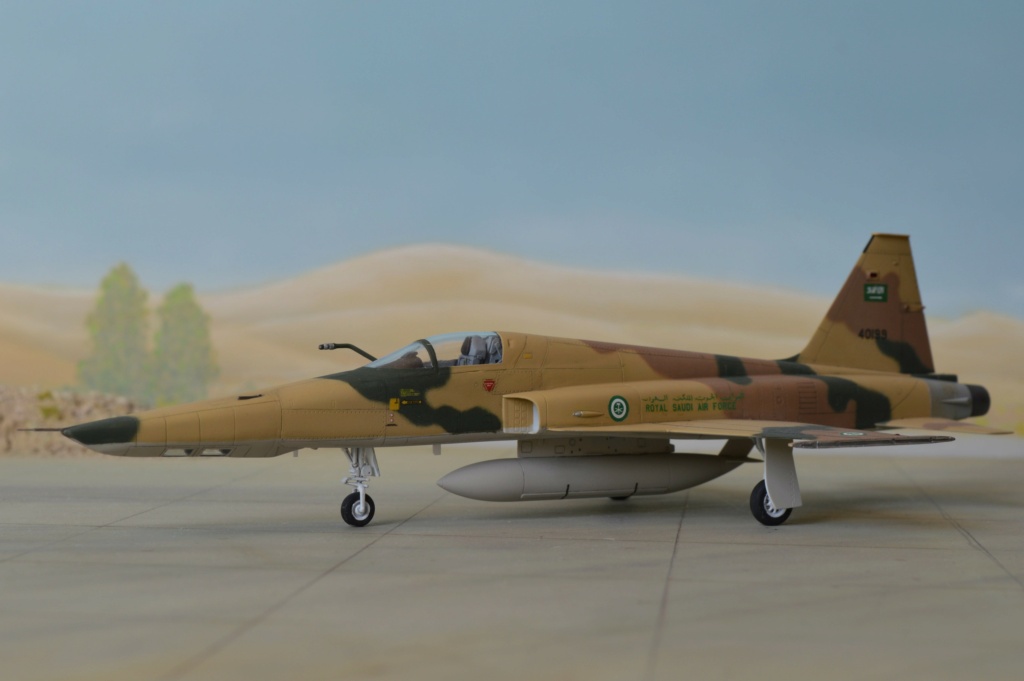 RF 5E Tigereye Saudi Arabia   Dreammodel + Airfix  1/72 - Page 2 Dsc_0169