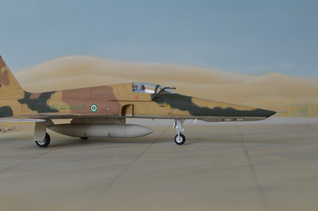 RF 5E Tigereye Saudi Arabia   Dreammodel + Airfix  1/72 - Page 2 Dsc_0170