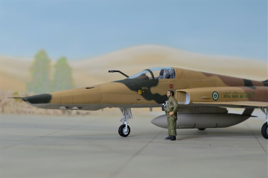 RF 5E Tigereye Saudi Arabia   Dreammodel + Airfix  1/72 - Page 2 Dsc_0174