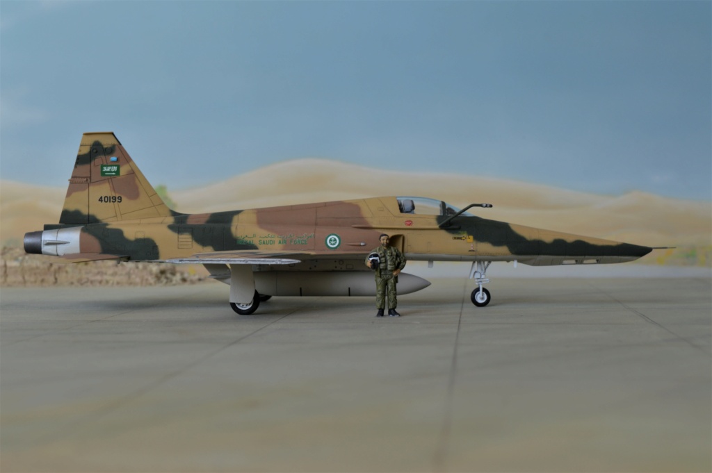 RF 5E Tigereye Saudi Arabia   Dreammodel + Airfix  1/72 - Page 2 Dsc_0175