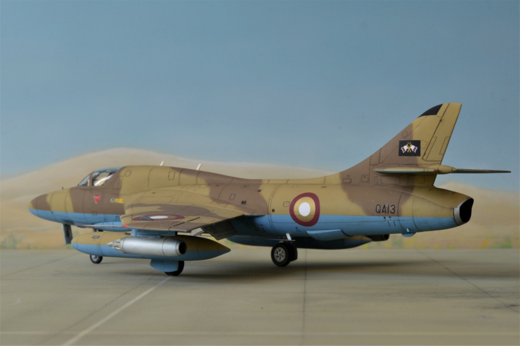 [Revell + PJ Production] 1/72 - Hawker Hunter T.79  Qatar   Dsc_0352
