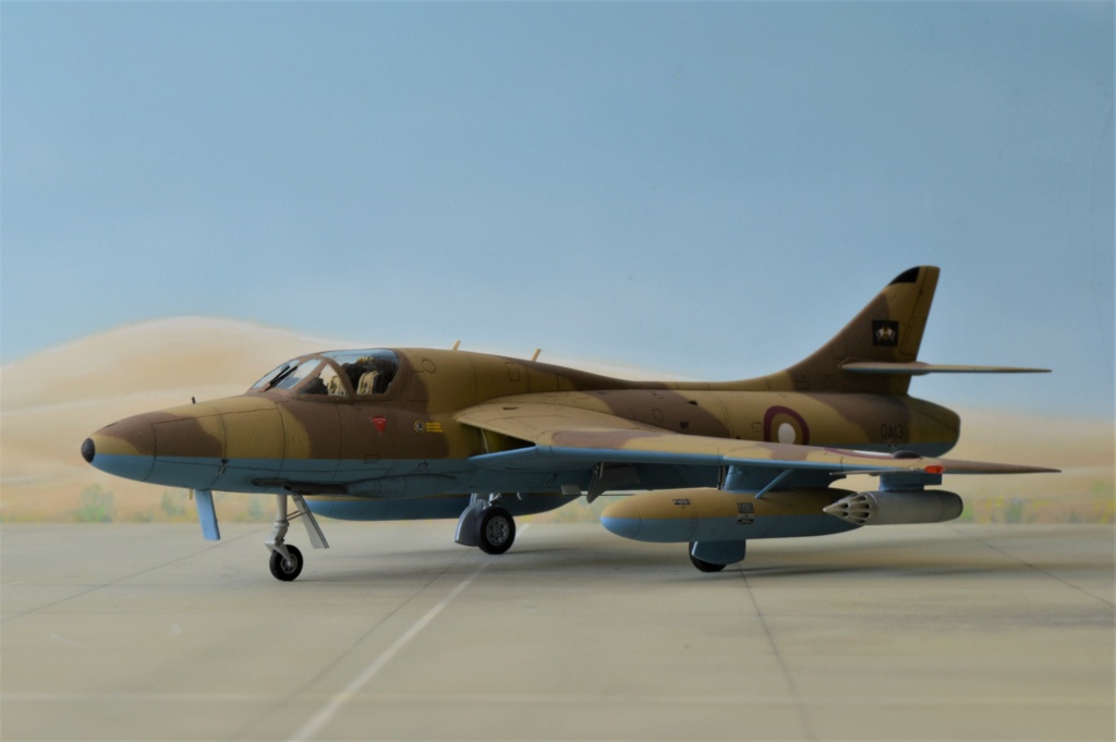 [Revell + PJ Production] 1/72 - Hawker Hunter T.79  Qatar   Dsc_0354