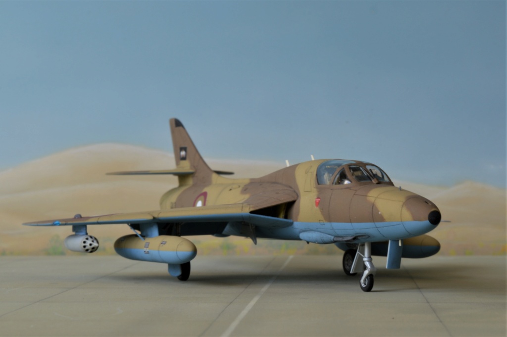 [Revell + PJ Production] 1/72 - Hawker Hunter T.79  Qatar   Dsc_0356