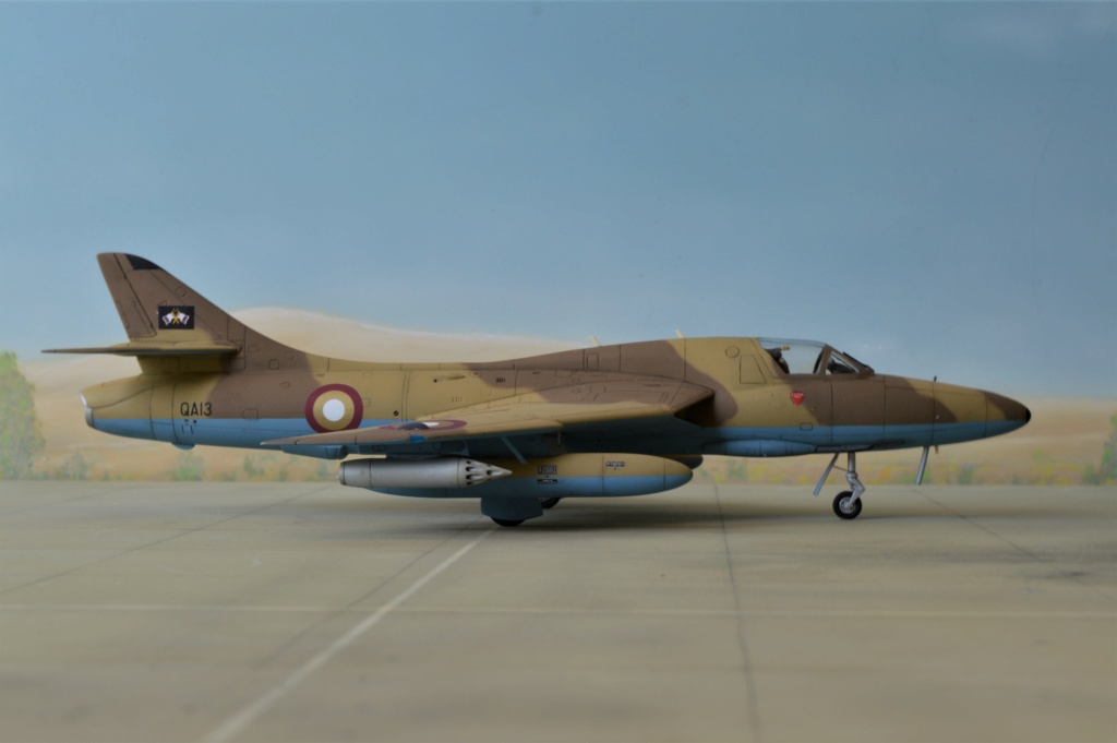 [Revell + PJ Production] 1/72 - Hawker Hunter T.79  Qatar   Dsc_0357