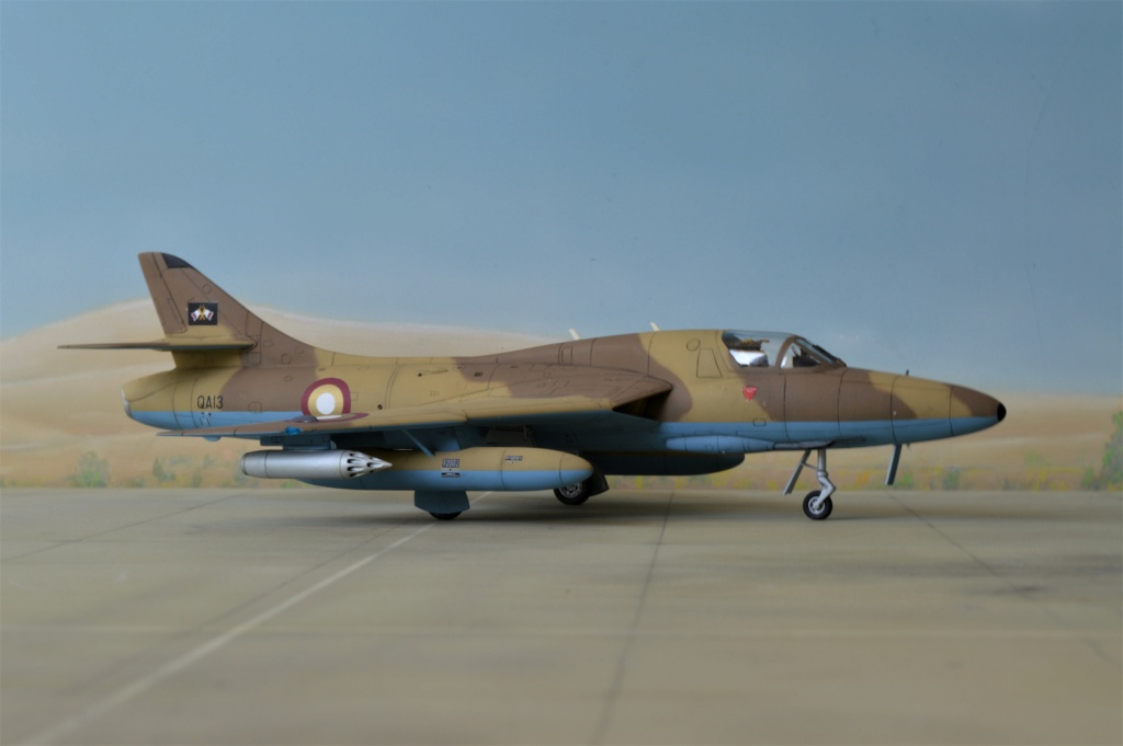 [Revell + PJ Production] 1/72 - Hawker Hunter T.79  Qatar   Dsc_0359