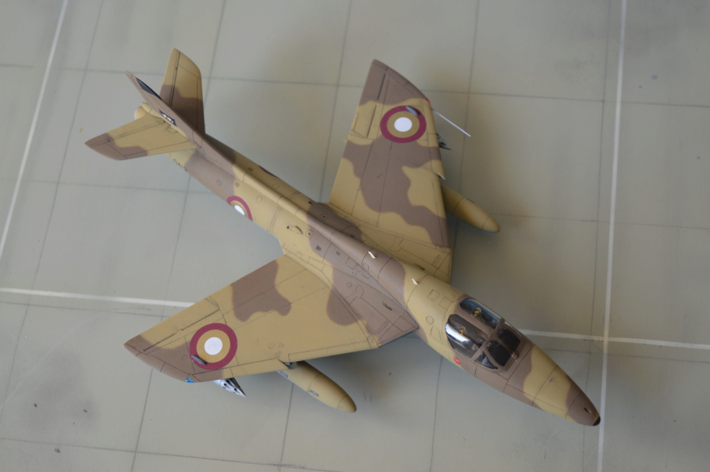 [Revell + PJ Production] 1/72 - Hawker Hunter T.79  Qatar   Dsc_0362