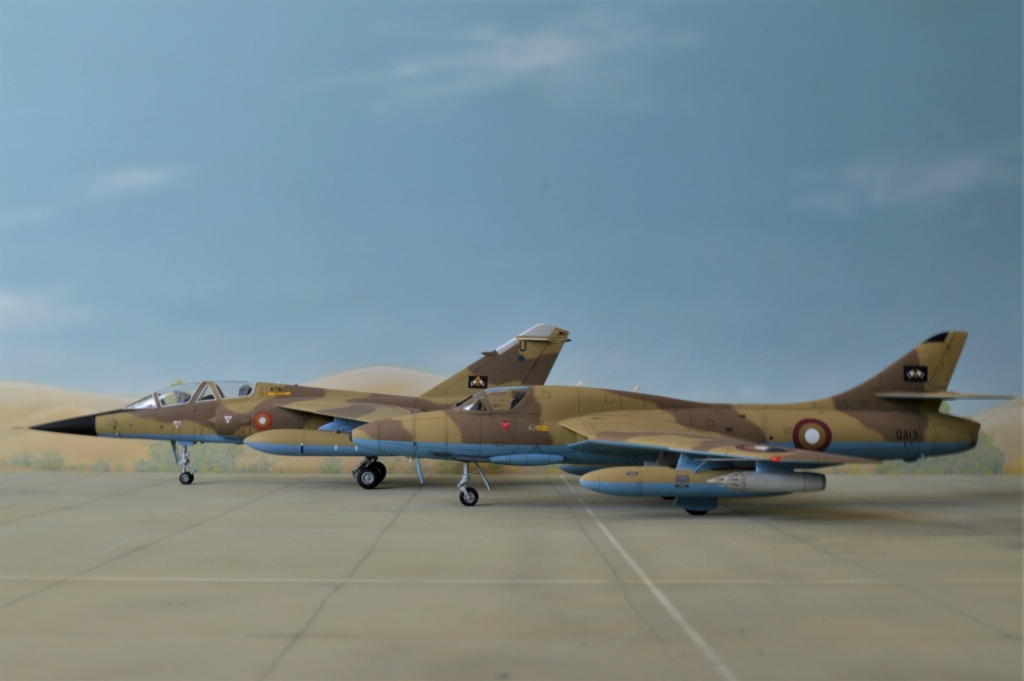 [Revell + PJ Production] 1/72 - Hawker Hunter T.79  Qatar   Dsc_0363