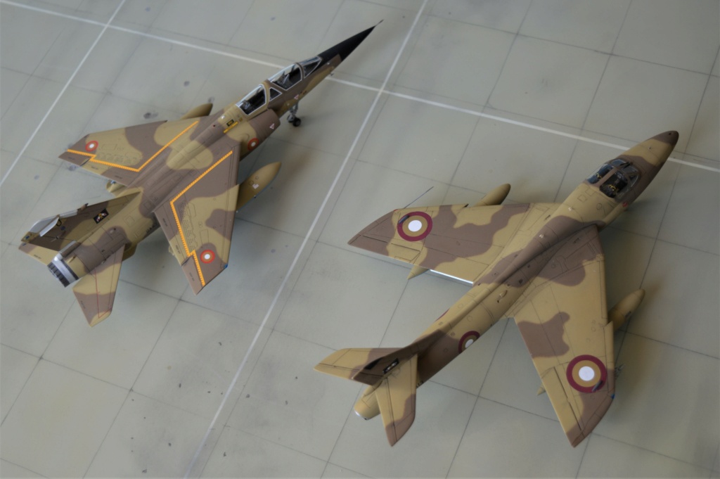 [Revell + PJ Production] 1/72 - Hawker Hunter T.79  Qatar   Dsc_0366