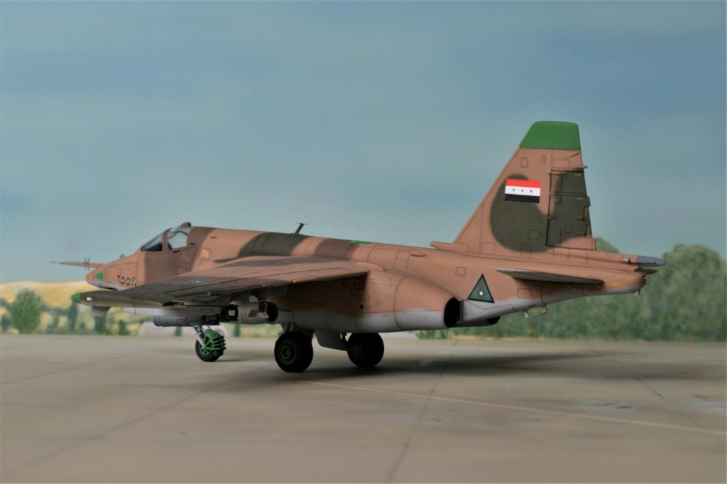 [Zvezda] 1/72 - Sukhoi Su-25K Frogfoot  Irak   - Page 2 Dsc_0368